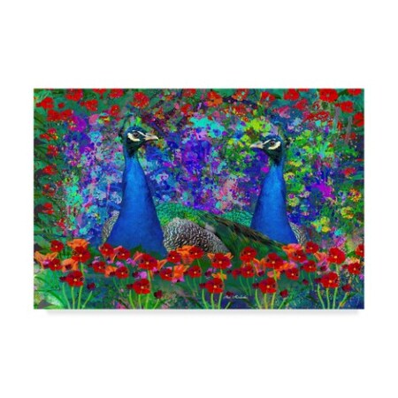 Trademark Fine Art Ata Alishahi 'Peacock 1' Canvas Art, 16x24 ALI22332-C1624GG